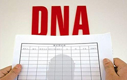 双鸭山在哪里能办理DNA亲子鉴定，双鸭山亲子鉴定收费标准
